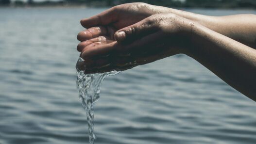 Hands collecting clean water from a river, highlighting the importance of water quality in managing autoimmune health and reducing inflammation.