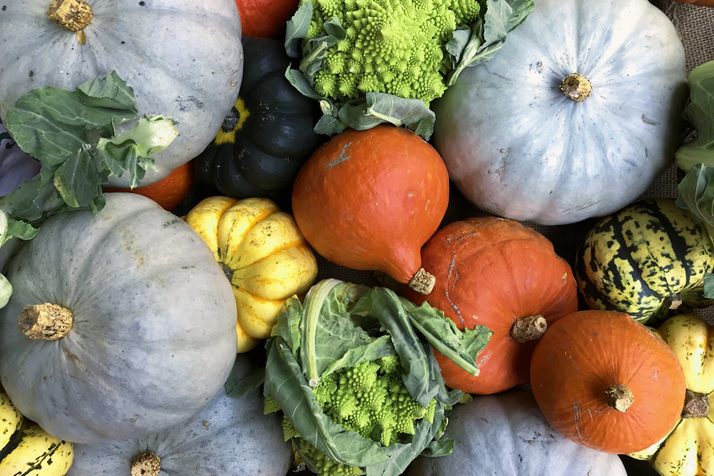 Fresh squashes, a nutritious part of the AIP diet, supporting the AIP journey for healing and nourishment.