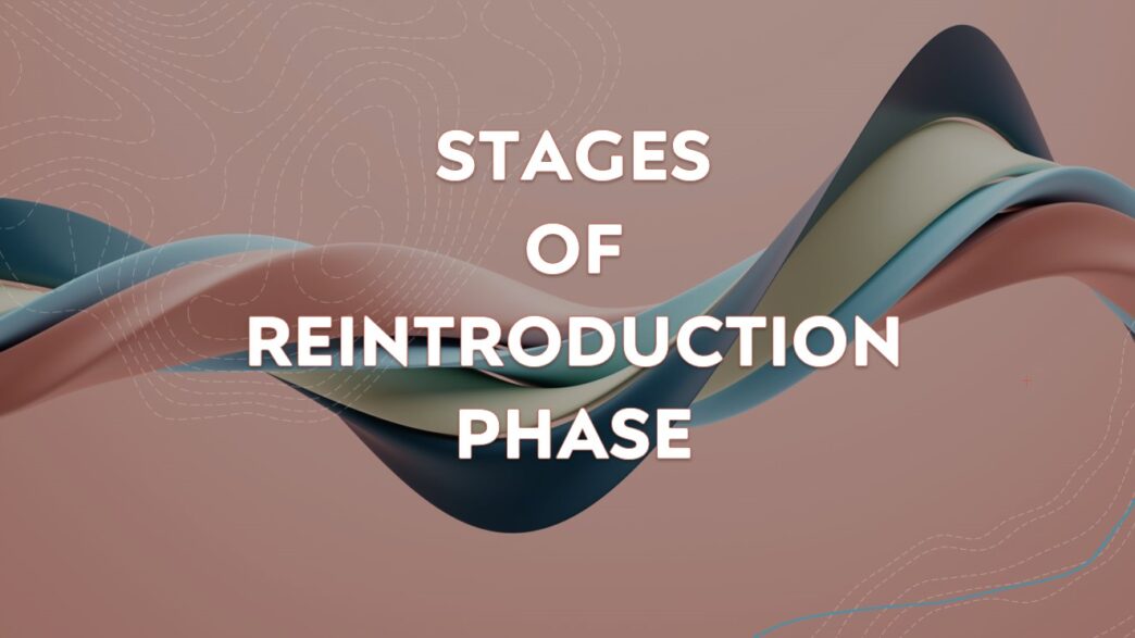 The 3 stages of AIP reintroduction with foods and symptoms to monitor