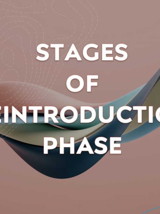 The 3 stages of AIP reintroduction with foods and symptoms to monitor