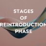 The 3 stages of AIP reintroduction with foods and symptoms to monitor