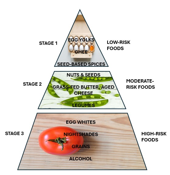 Infographic showing the 3 stages of AIP food reintroduction with foods and symptoms to monitor to live a pain-free life.