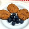 Carob and Green Banana Flour Cookies – AIP, paleo, gluten-free, dairy-free, nut-free cookies made with coconut flour, carob powder, and natural sweeteners.