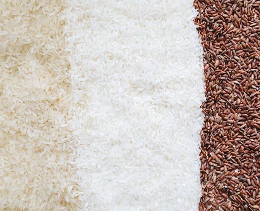 Reintroducing grains: Safe rice options for autoimmune health and gut healing on the AIP diet.