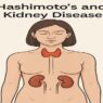 Hashimoto’s and Kidney Disease illustration showing the thyroid and kidneys connection, autoimmune disease impact on kidney function, chronic inflammation link.