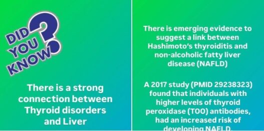 Diagram illustrating the connection between Hashimoto's thyroiditis and liver diseases, focusing on immune system interactions and liver impact.