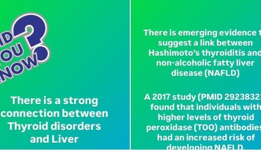 Diagram illustrating the connection between Hashimoto's thyroiditis and liver diseases, focusing on immune system interactions and liver impact.