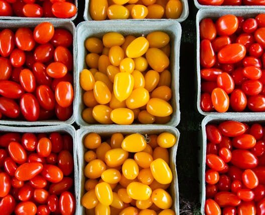 Nightshades Recipes: Red and yellow cherry tomatoes, a flavorful option for nightshade-sensitive diets and autoimmune-friendly dishes.