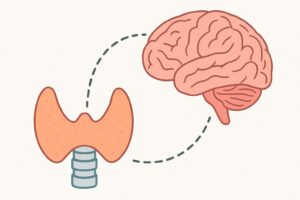 Hashimoto's and Brain Health. Thyroid and brain connection in Hashimoto’s disease showing how autoimmune thyroid conditions can cause brain fog, cognitive issues, and memory problems.
