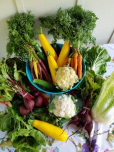 AIP diet food list featuring a bunch of vegetables for gut healthy, reduce inflammation for people suffering of Autoimmune Diseases.