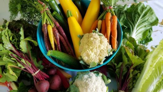AIP diet food list featuring a bunch of vegetables for gut healthy, reduce inflammation for people suffering of Autoimmune Diseases.