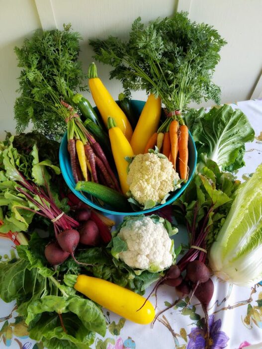 AIP diet food list featuring a bunch of vegetables for gut healthy, reduce inflammation for people suffering of Autoimmune Diseases.