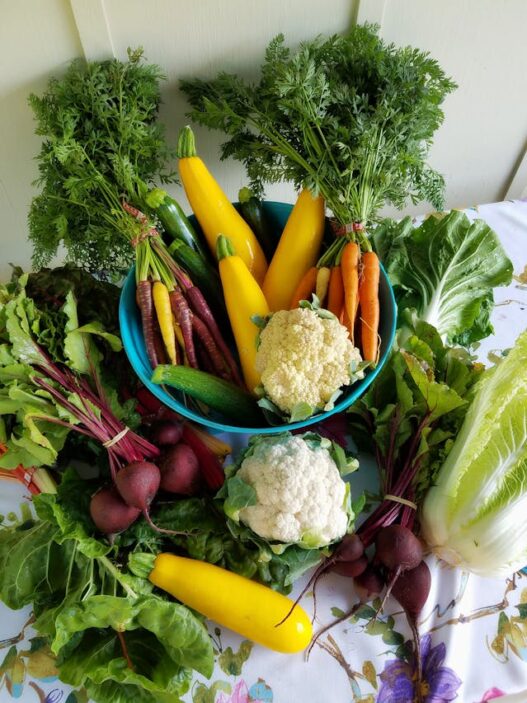 AIP diet food list featuring a bunch of vegetables for gut healthy, reduce inflammation for people suffering of Autoimmune Diseases.
