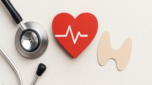 Hashimoto’s and Heart Health connection illustrated by a stethoscope, red heart with ECG line, and thyroid shape on a neutral background